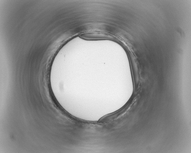 X0000115250193200911271912