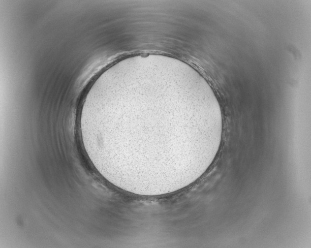 X0000115250194200911271912