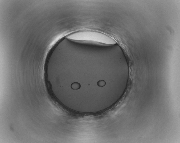 X0000115250196200911271912