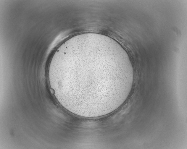 X0000115250198200911271912