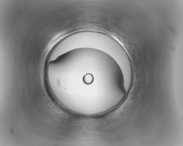 X0000115250199200911271912