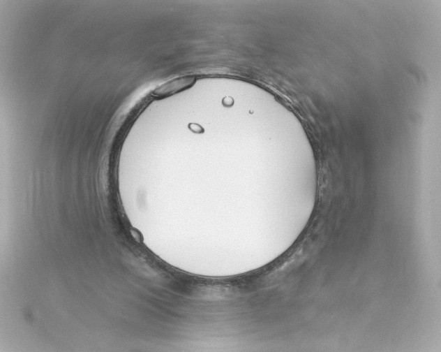 X0000115250200200911271912