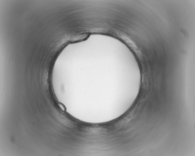 X0000115250201200911271912