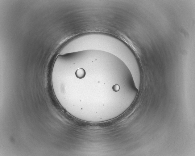 X0000115250203200911271912