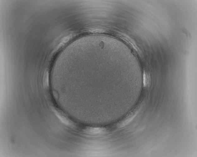 X0000115250205200911271912