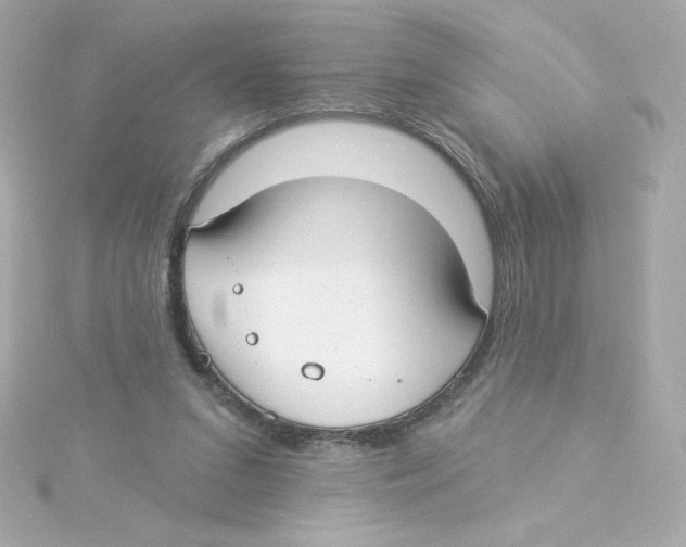 X0000115250207200911271912