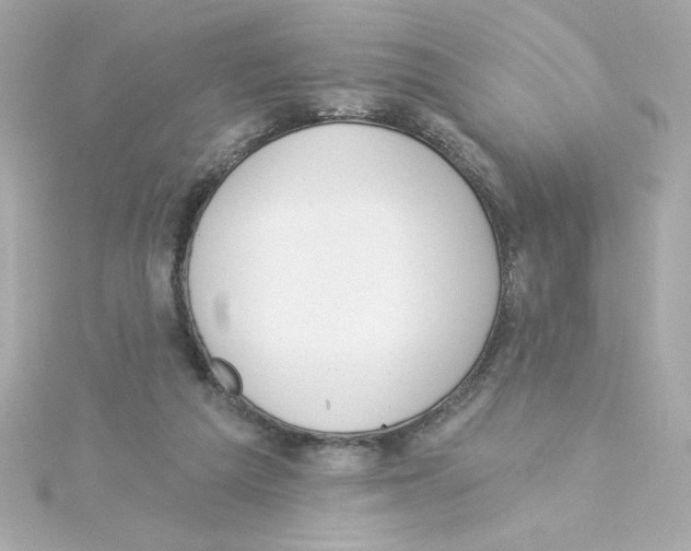 X0000115250209200911271912