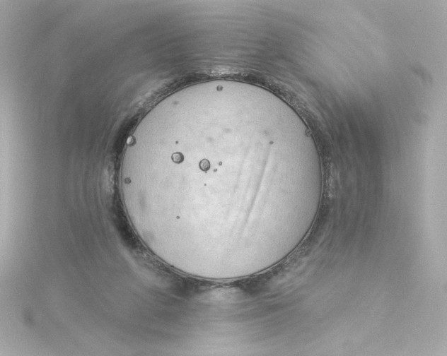 X0000115250210200911271912