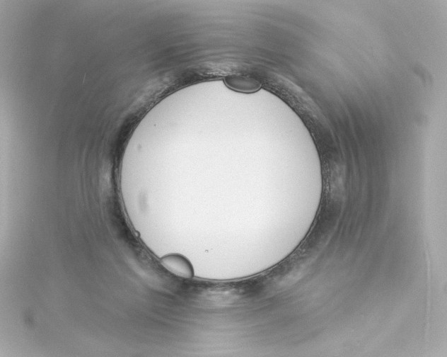 X0000115250213200911271912