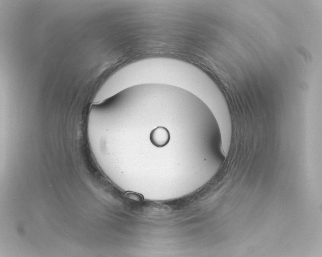 X0000115250215200911271912