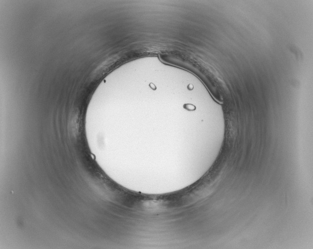 X0000115250216200911271912