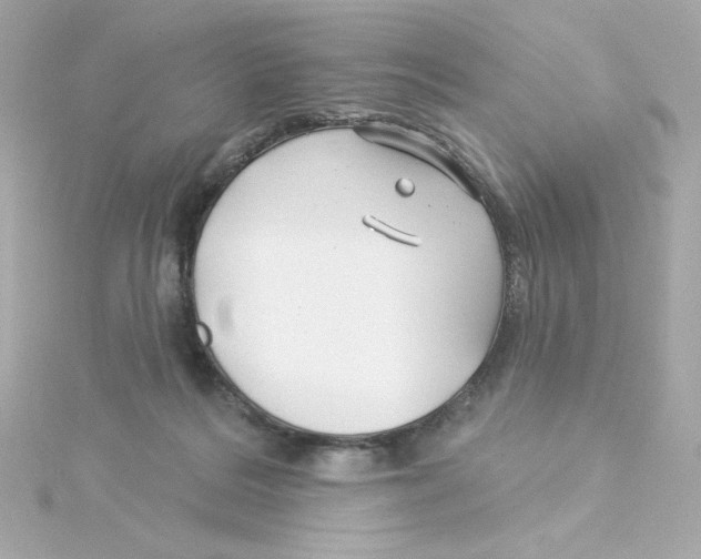 X0000115250220200911271912