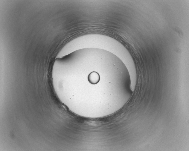 X0000115250221200911271912