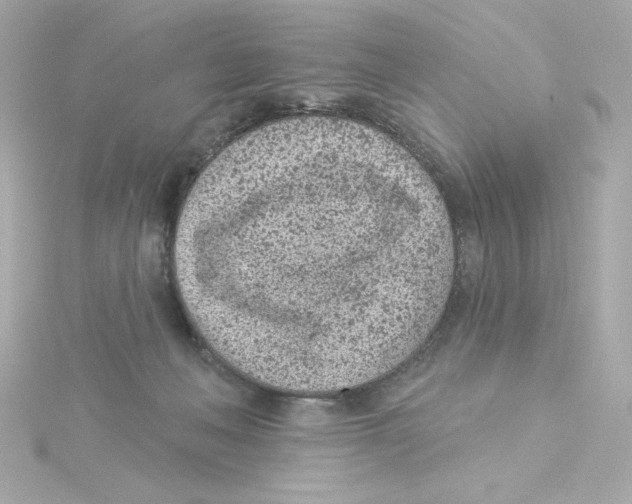 X0000115250222200911271912