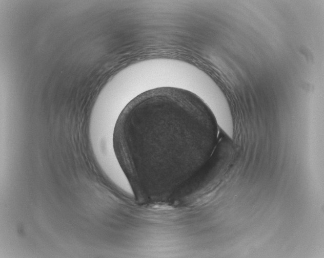 X0000115250223200911271912