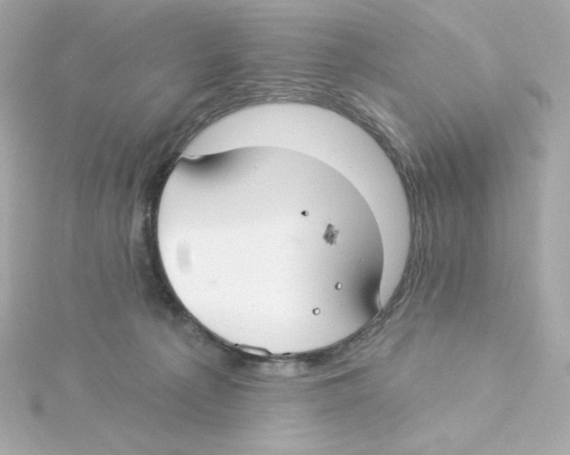 X0000115250225200911271912