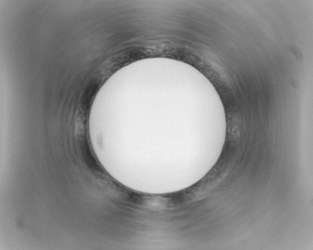 X0000115250226200911271912