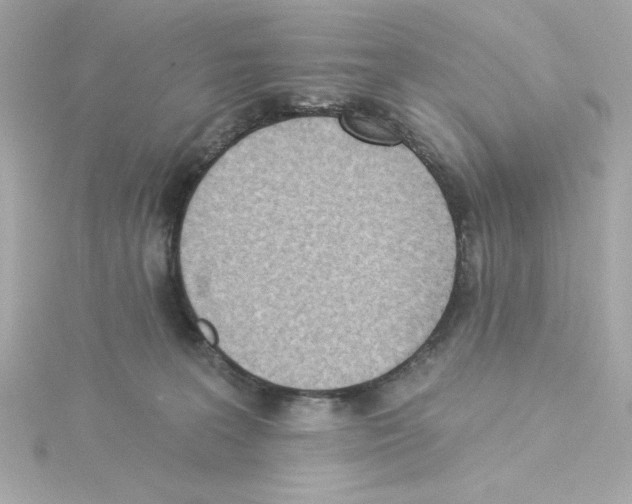 X0000115250227200911271912