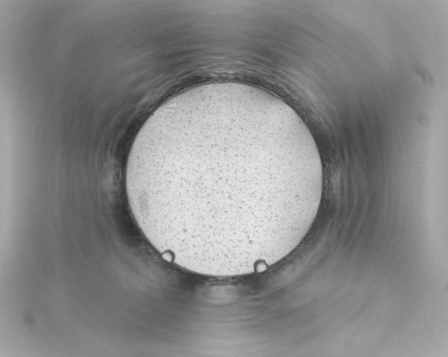 X0000115250228200911271912