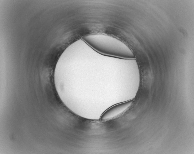 X0000115250229200911271912