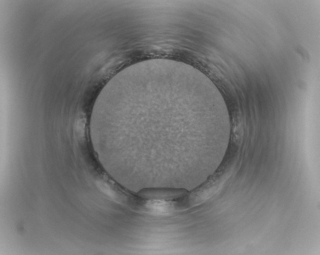 X0000115250231200911271911