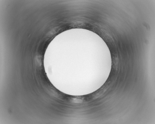 X0000115250232200911271911