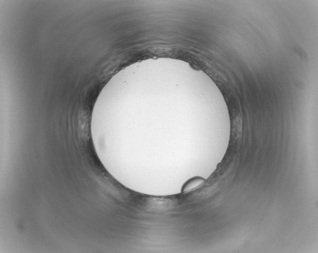 X0000115250234200911271911