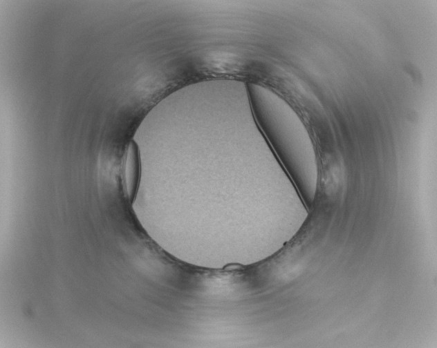 X0000115250235200911271911