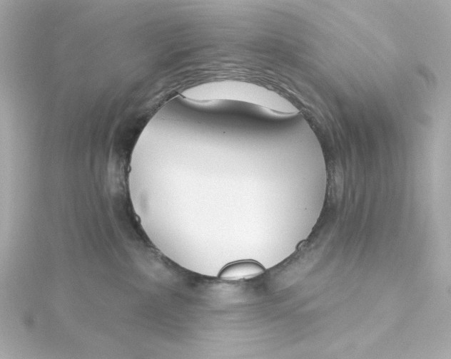 X0000115250236200911271911