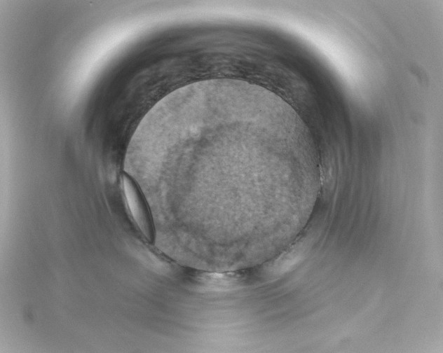 X0000115250239200911271911