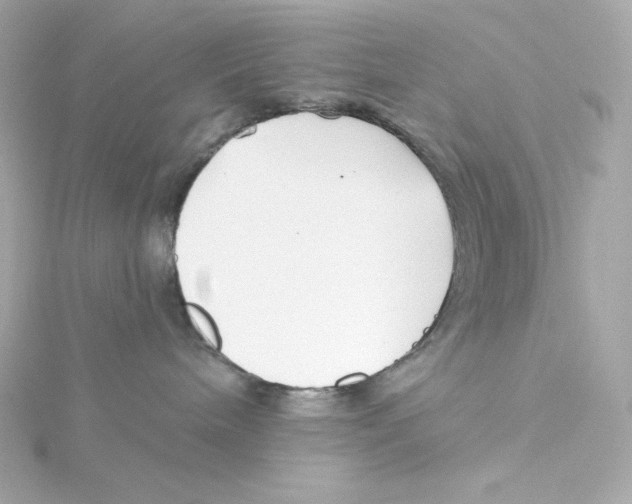 X0000115250240200911271911