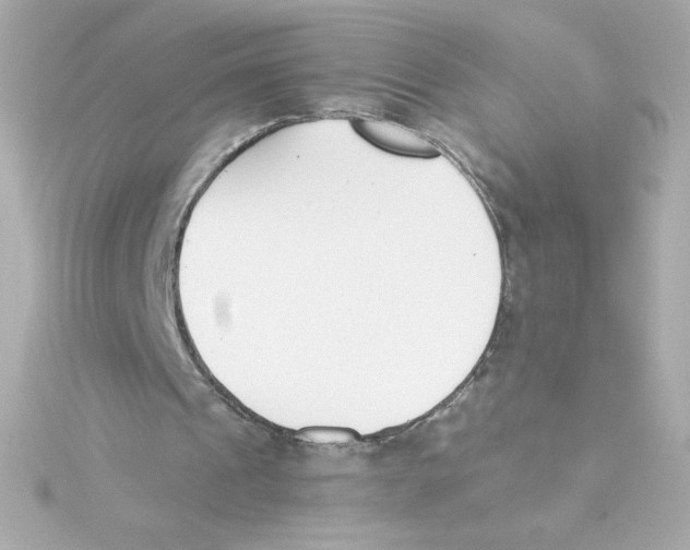 X0000115250241200911271911