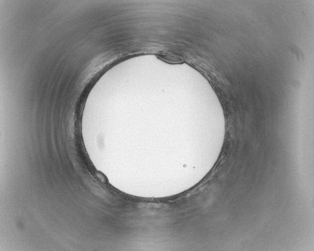 X0000115250242200911271911