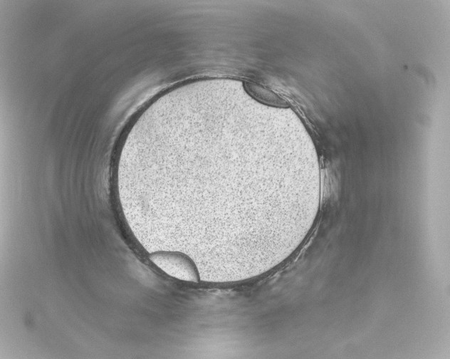 X0000115250243200911271911