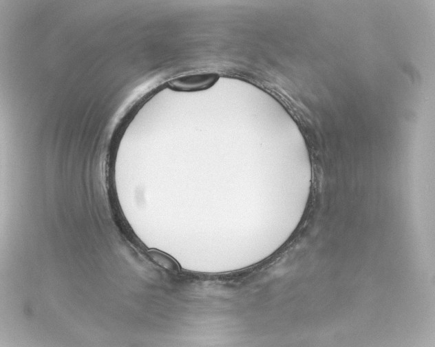 X0000115250244200911271911