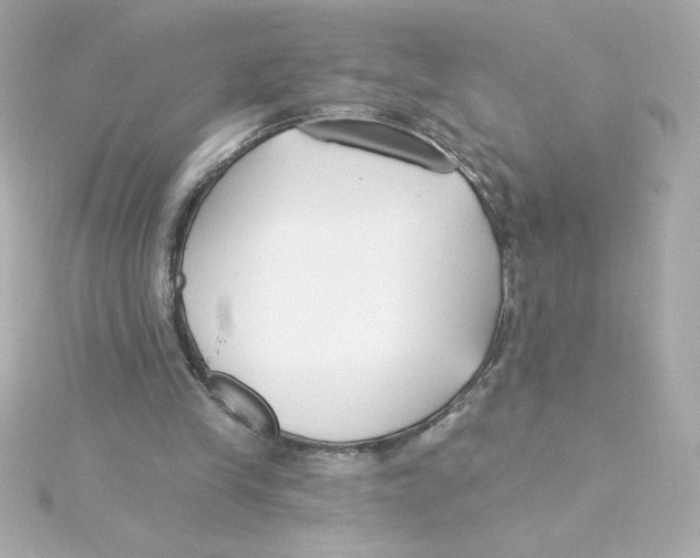 X0000115250245200911271911