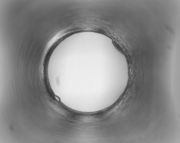 X0000115250246200911271911