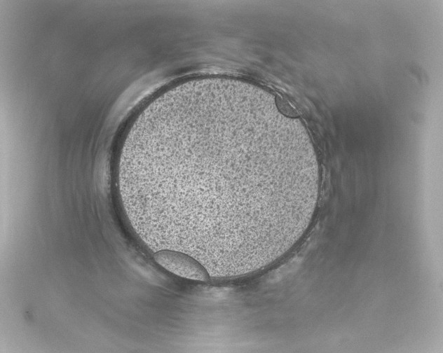 X0000115250247200911271911