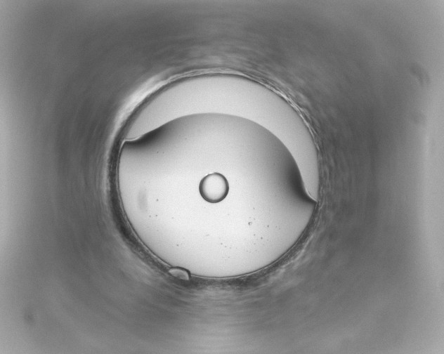 X0000115250248200911271911