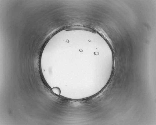 X0000115250249200911271911