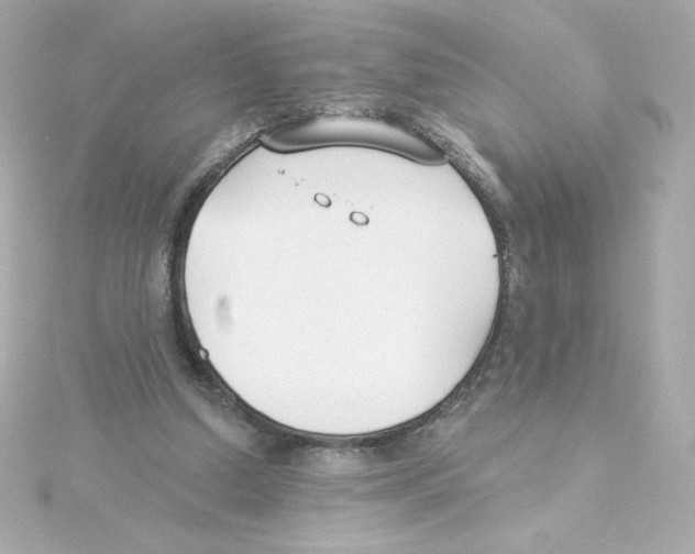 X0000115250250200911271911