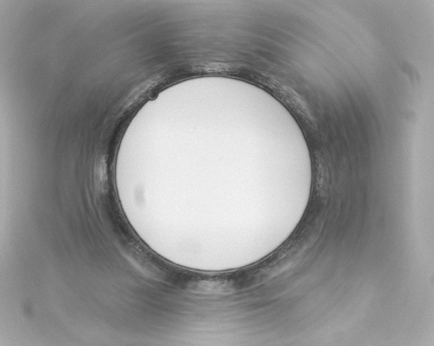 X0000115250251200911271911