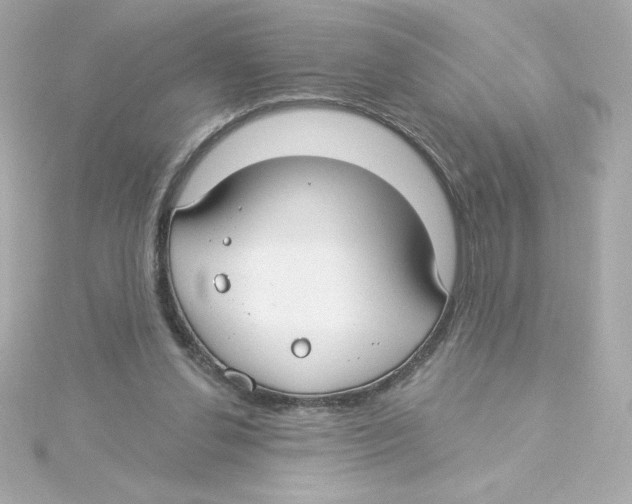 X0000115250252200911271911