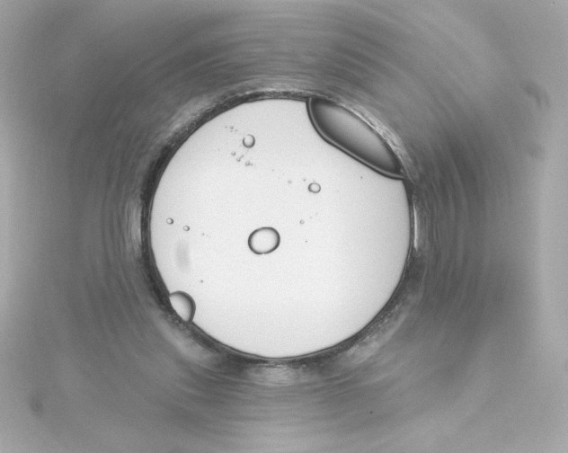 X0000115250253200911271911