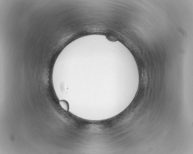 X0000115250255200911271911