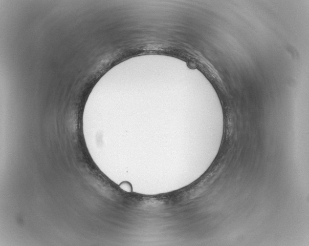 X0000115250257200911271911