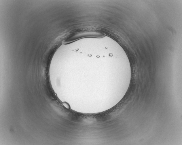 X0000115250258200911271911