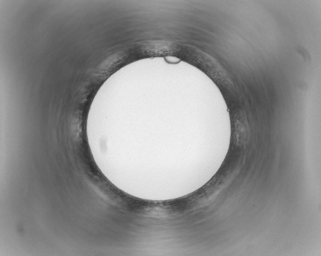 X0000115250259200911271911