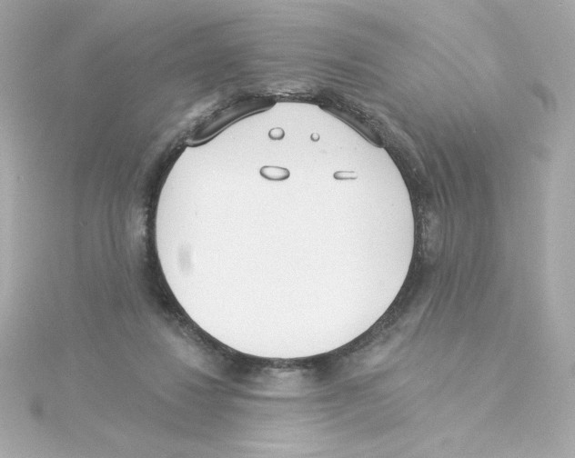 X0000115250260200911271911