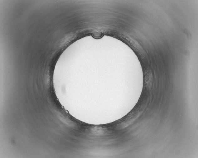 X0000115250261200911271911